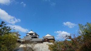 IMG01291
